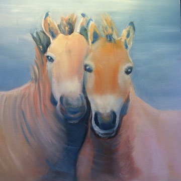 Animal portraits for the young at heart!