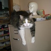 May Atkinson's photo
