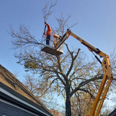 GGE Tree Service