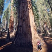 Mireille Saliba's photo