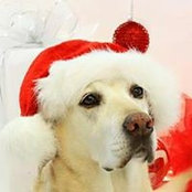 David Feuerborn's photo