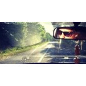 George Stercu's photo