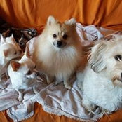 Foto von Pedro Roger