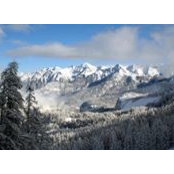 Joachim Thom's photo