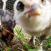 Jason Faulds's photo