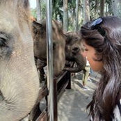 Sabs Salabim's photo