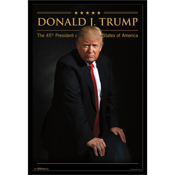 Donald Trump Poster, Black Framed Version