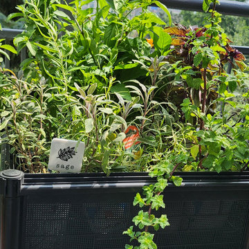 BALCONY GARDEN - an Edible and Ornamental Garden in the Sky