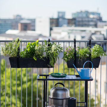 Tagterrasse Islands Brygge