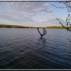 Bird on water - Products