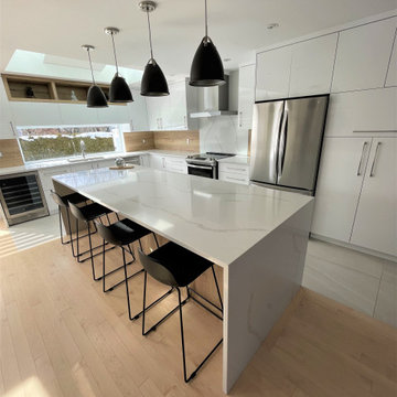 Modern kitchen renovation