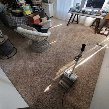 Carpet Cleaning Urine Removal Feces Removal Anmore BC Canada