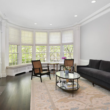 Chicago Historical Apartment Remodel