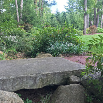 Dry Stream Beds