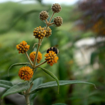 Benbole Farm