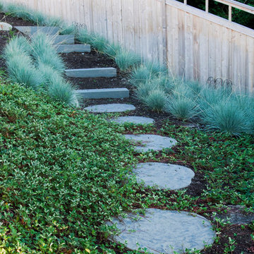 Steps down through grasses and strawberries