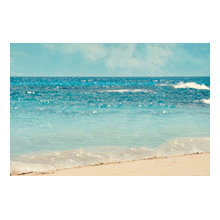 michelle_frisch's Ideas