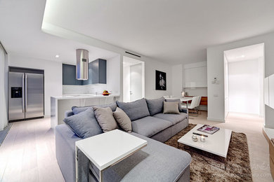 Living room - modern living room idea in Other