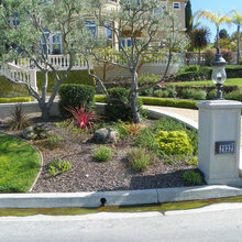 Curb Appeal