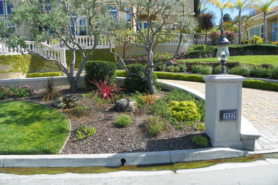 Design ideas for a traditional landscaping in San Francisco.