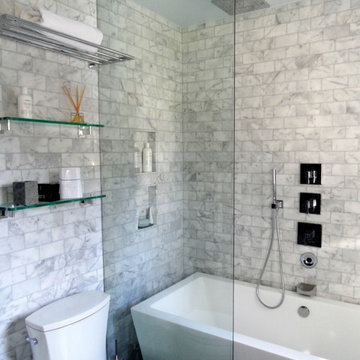 Modern blend for West Los Angeles bathroom