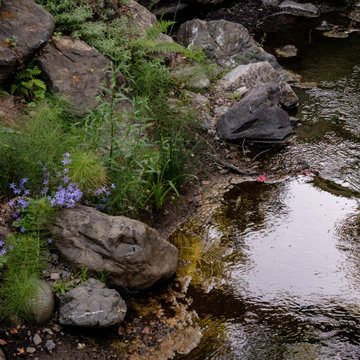Creekside Restoration: Creekside View with Boulders and Edge Plantings