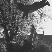 Dan Buckle's photo