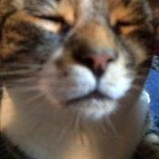 Amy Newswanger's photo