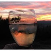 Gloria Hershey's photo