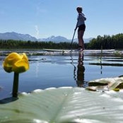 Kathleen Ford's photo