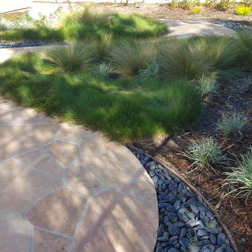 Scripps Ranch Lawn Replacement