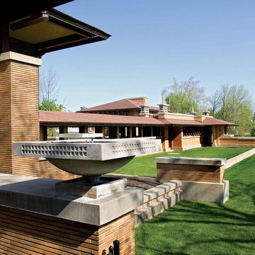 Frank Lloyd Wright's - The Darwin Martin Complex