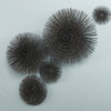 Interlude Home Ostional Wall Urchins, Set of 5