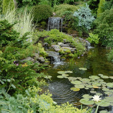 ponds