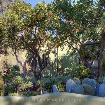 Eclectic - Edgewater Terrace - Silver Lake