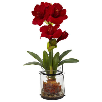 24" Amaryllis With Vase