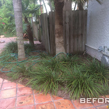 Before the transformation