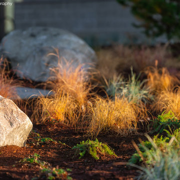COMMERCIAL LANDSCAPE SERVICES