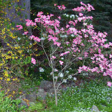 Woodland Gardens