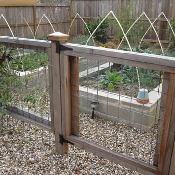 Urban Veggie Garden