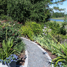 Landscape Ideas