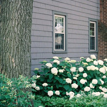 Landscape Ideas
