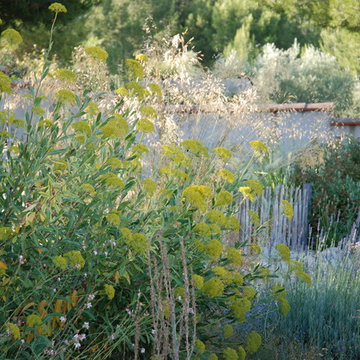 Un jardin naturel, ambiance graminée