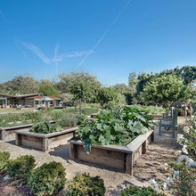 Landscape garden design