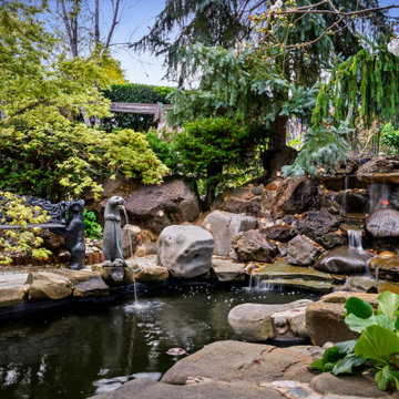 From Overwhelmed to Peace of Mind: A Saratoga Landscape Transformation