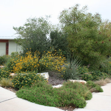 Natural Landscape in Northwest Hills