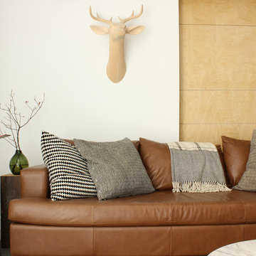 Aerelight A1 in Homes