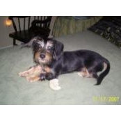 Janie Mutchler's photo