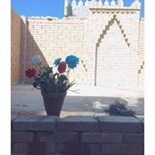 Sara Badr's photo