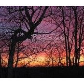Cathy Snow's photo